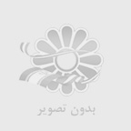 استرچ پالت